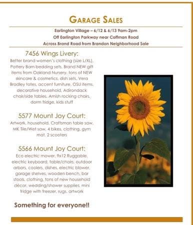 Earlington Village Sales -Dublin
