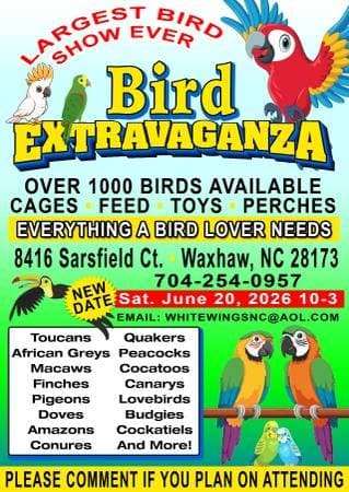 Bird Show
