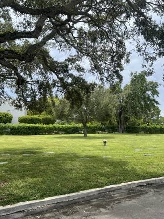 Cemetery Burial Plot Rivero Caballero Woodlawn Park North