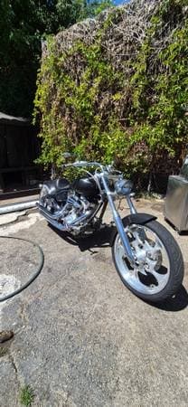 Tropical Spanish Estate Sale – Rare Plants, Wrought Iron, Zumex, Motor