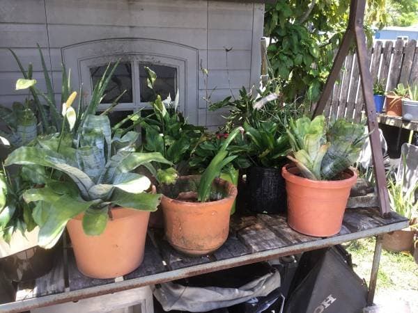 Moving sale