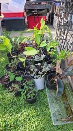 HUGE garage sale! Everything must go!