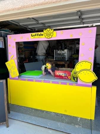 HUGE GARAGE SALE + Lemonade & Cookie Stand!